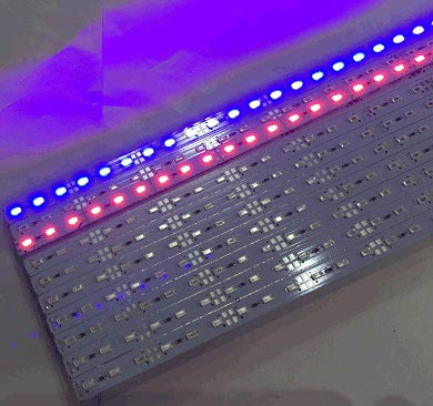 LED THANH 5630 ĐỎ,XANH LÁ,XANH DƯƠNG