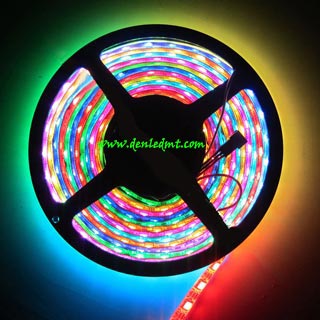LED DÂY 24V 5050 RGB 7 MÀU CÓ KEO