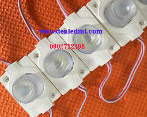 Module 1 bóng lớn Vàng/Đỏ