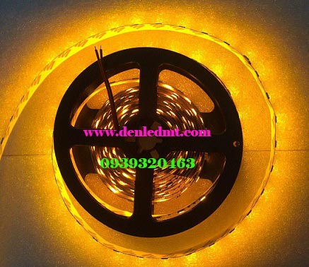 Led dây 5050 kg keo Vàng chùa (vàng cam)