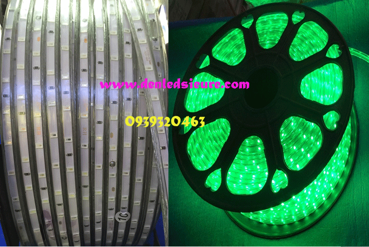 Led dây 5050_cuộn 100m _điện 220V_màu xanh lá/vàng ấm