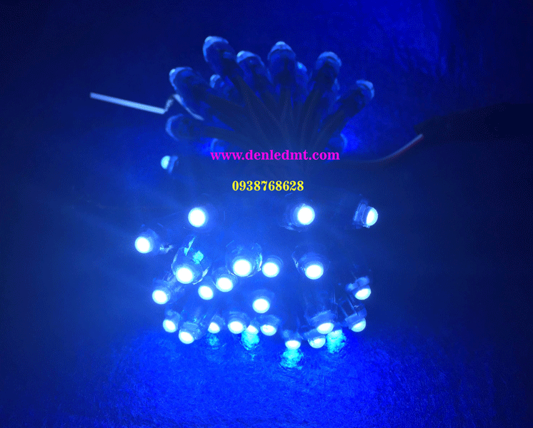 LED F5 TRẮNG/VÀNG/ĐỎ/X.LÁ/X.DƯƠNG