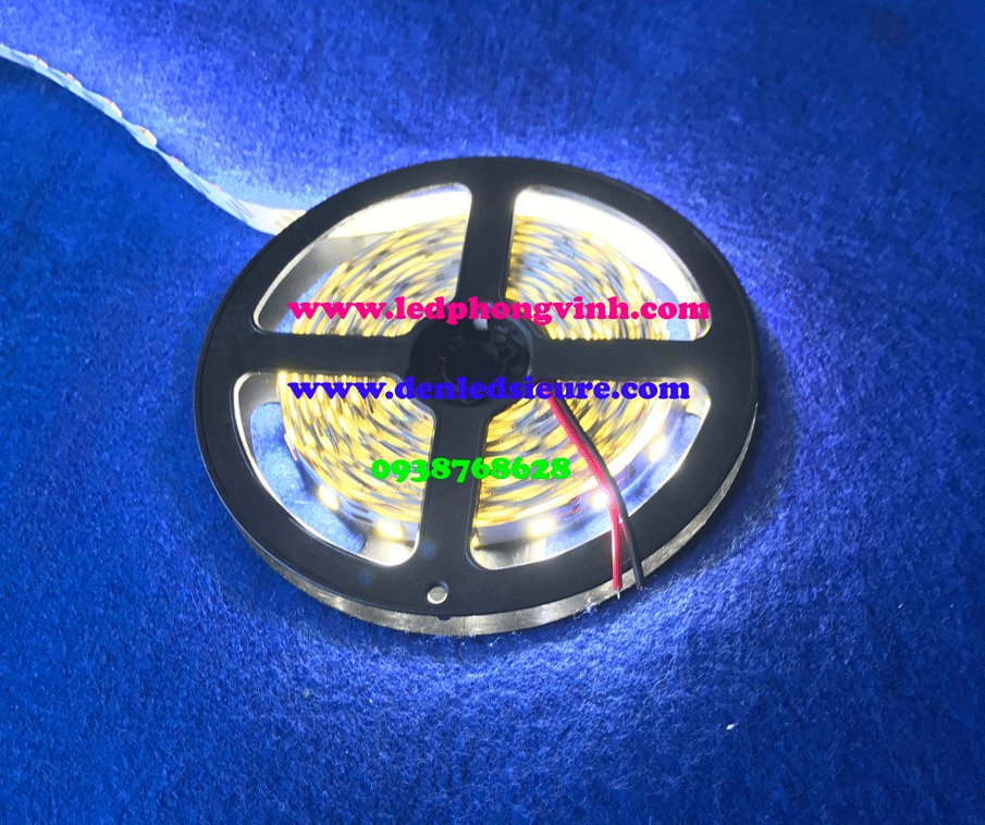 LED DÂY 5054 SIÊU SÁNG VÀNG TRUNG TÍNH 4000K