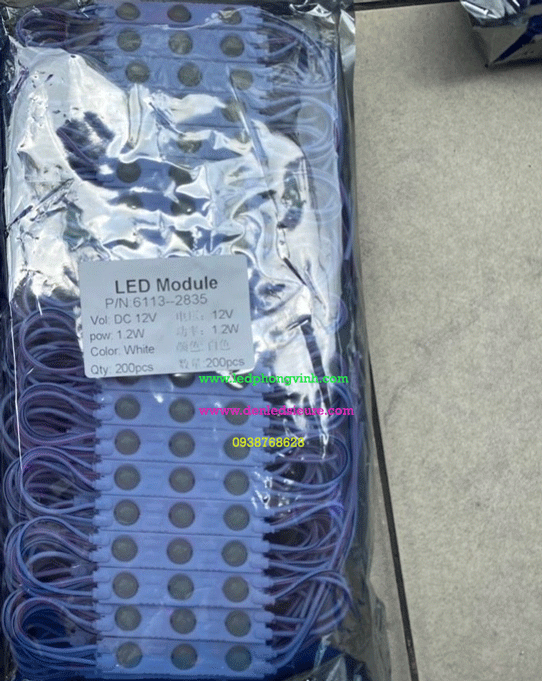 MODULE 3 BÓNG LÚP 6113 TRẮNG