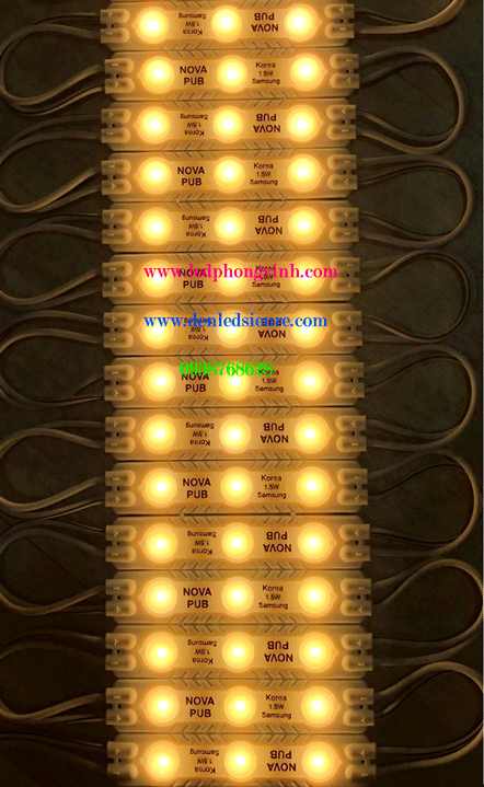 MODULE 3 BÓNG LÚP VÀNG NOVA 6313