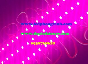 LED MODULE 3 BÓNG 5054 SAMSUNG HỒNG