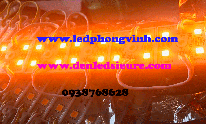 LED MODULE 4 BÓNG LÚP SAMSUNG TRẮNG/VÀNG ẤM