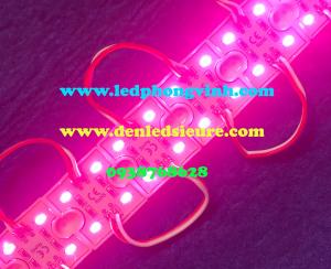 LED MODULE 4 BÓNG 5730 HỒNG