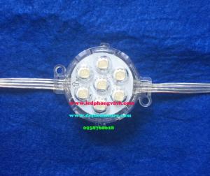 LED BÁT 5CM FULL TRONG( KHÔNG CHỤP )TỰ CHUYỂN ( PHI 50) IC 8206
